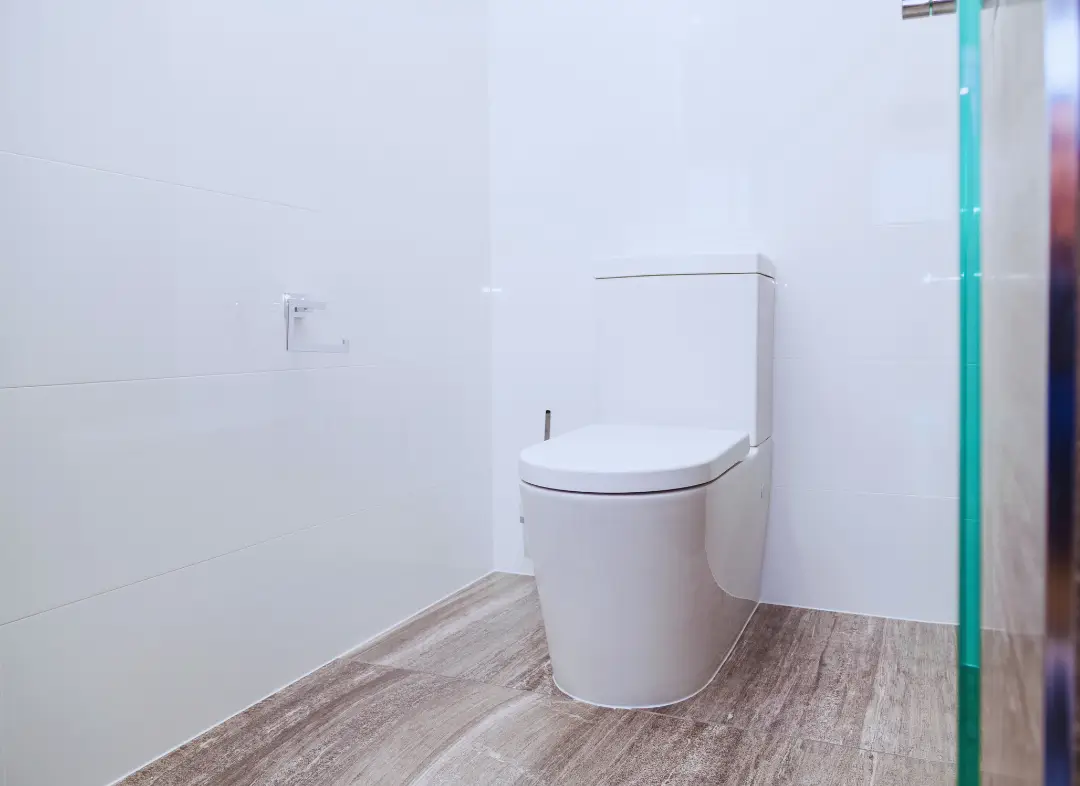 Remplacement de wc Milhaud